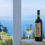 Gkountis Deluxe Apartment Lefkada City
