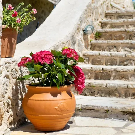 Gkountis Deluxe Лефкада